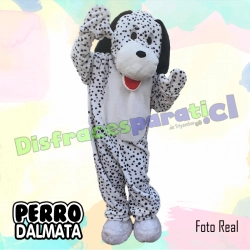 PERRO DALMATA