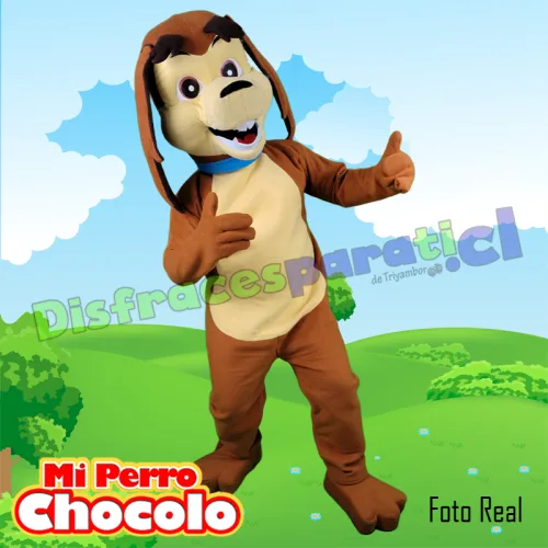 PERRO CHOCOLO