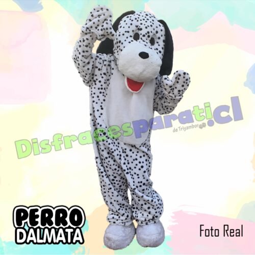 PERRO DALMATA PERRO DALMATA