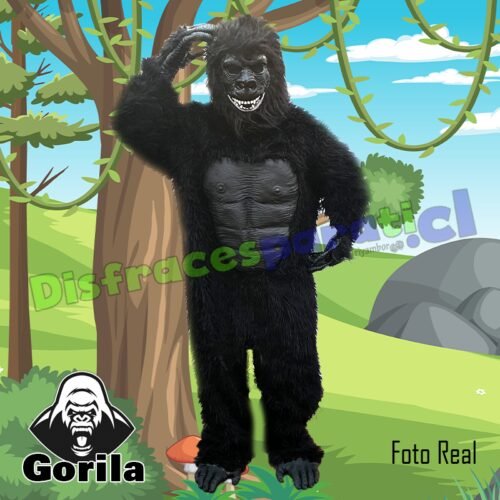 GORILA GORILA