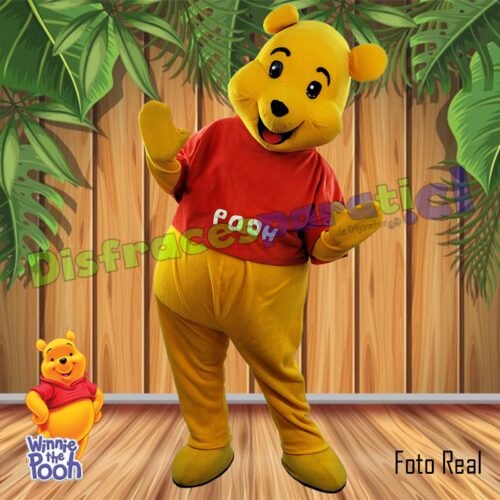 WINNIE POOH WINNIE POOH