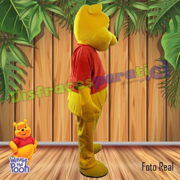 WINNIE POOH WINNIE POOH