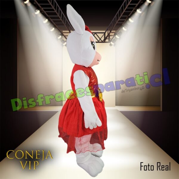 DoblePack CONEJOS VIP'S DoblePack CONEJOS VIP'S