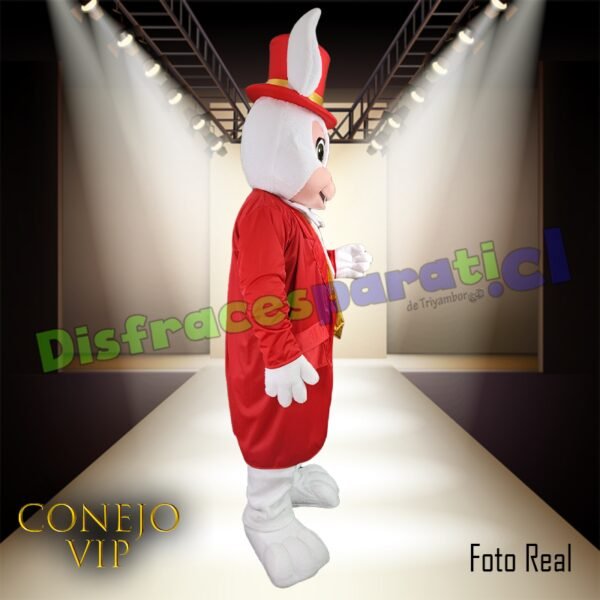 DoblePack CONEJOS VIP'S DoblePack CONEJOS VIP'S