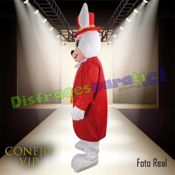 DoblePack CONEJOS VIP'S DoblePack CONEJOS VIP'S