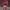 SANTA CLAUS VIP SANTA CLAUS VIP