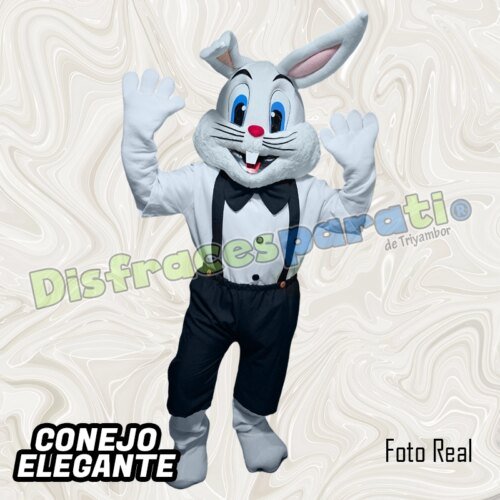 CONEJO ELEGANTE CONEJO ELEGANTE