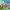 FullPack PAW PATROL FullPack PAW PATROL