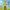FullPack PAW PATROL FullPack PAW PATROL