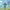 FullPack PAW PATROL FullPack PAW PATROL