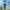 FullPack PAW PATROL FullPack PAW PATROL