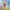 FullPack PAW PATROL FullPack PAW PATROL