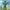 FullPack PAW PATROL FullPack PAW PATROL