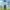FullPack PAW PATROL FullPack PAW PATROL