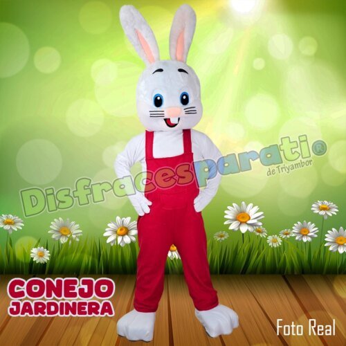 CONEJO JARDINERA CONEJO JARDINERA