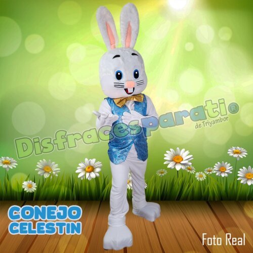 CONEJO CELESTIN CONEJO CELESTIN