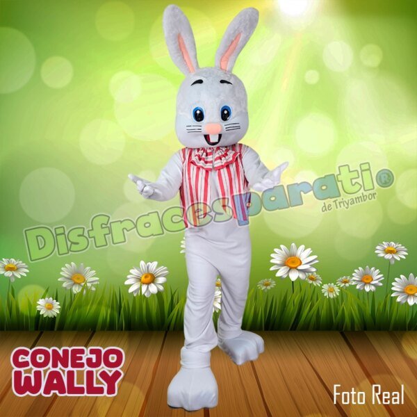 CONEJO WALLY CONEJO WALLY