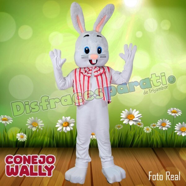 CONEJO WALLY CONEJO WALLY