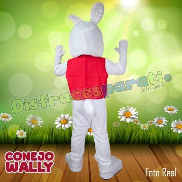 CONEJO WALLY CONEJO WALLY