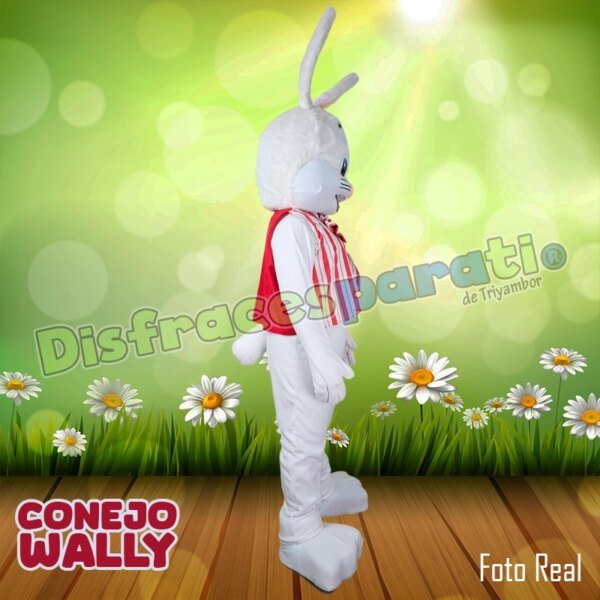 CONEJO WALLY CONEJO WALLY