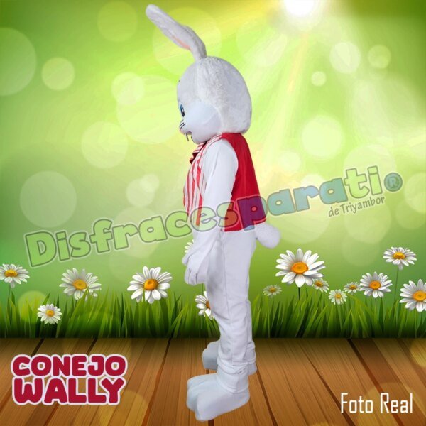 CONEJO WALLY CONEJO WALLY