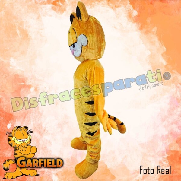 GARFIELD GARFIELD