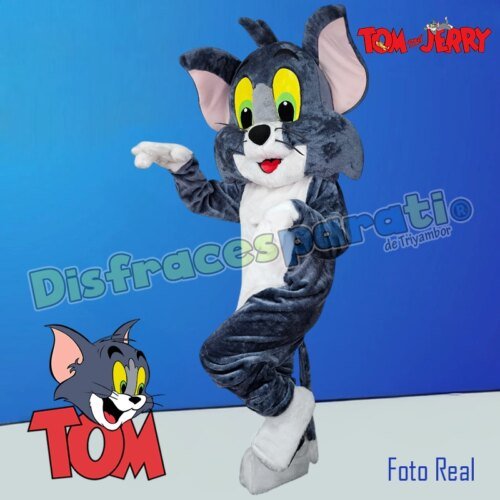 GATO TOM GATO TOM