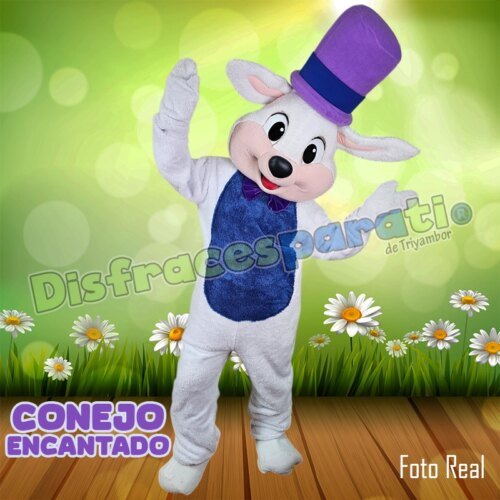 CONEJO ENCANTADO CONEJO ENCANTADO