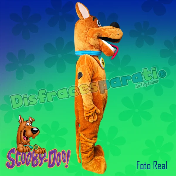 SCOOBY-DOO_5 SCOOBY-DOO
