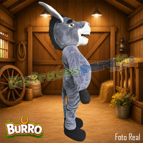 BURRO_02 BURRO