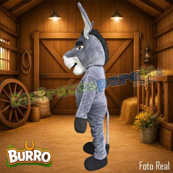 BURRO_03 BURRO