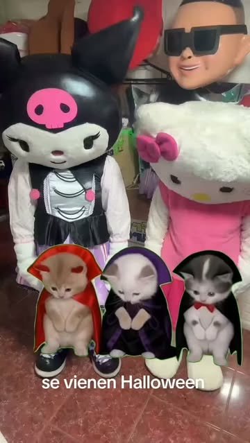 Gatitos 😻 Ya huele a halloween 🎃 Recuerda reservar con anticipación. Disfracesparati.cl #disfracesparati #corporeos #corporeoschile. #halloween #parati