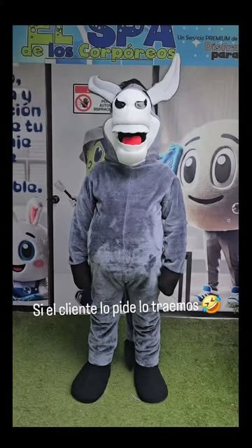 Si el cliente lo pide Disfracesparati lo trae Nuevo Burrito. Para alianzas , pecebre , eventos cumpleaños y más.