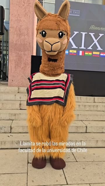 Amamos a Llamita ❤️ Busca nuestra enorme variedad de corpóreos en www.disfracesparati.cl